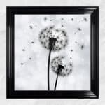 Dandelions Blowing In the Wind - Framed Wall Art