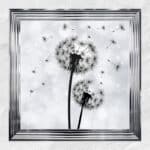 Dandelions Blowing In the Wind - Framed Wall Art