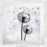 Dandelions Blowing In the Wind - Framed Wall Art