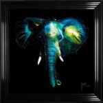 Wild Light Framed Picture by Patrice Murciano
