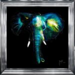 Wild Light Framed Picture by Patrice Murciano - Image 2