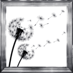 Dandelions Blowing Right In the Wind - Framed Wall Art