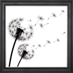 Dandelions Blowing Right In the Wind - Framed Wall Art