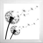 Dandelions Blowing Right In the Wind - Framed Wall Art