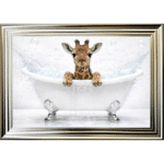 Baby Giraffe in the Bath - Framed Picture