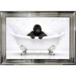 Baby Gorilla in the Bath - Framed Picture