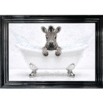 Baby Zebra in the Bath - Framed Picture