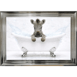 Baby Zebra in the Bath - Framed Picture