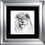 White Lion - Framed Wall Art by Patrice Murciano