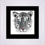 White Tiger - Framed Wall Art by Patrice Murciano