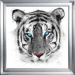 White Tiger - Framed Wall Art by Patrice Murciano