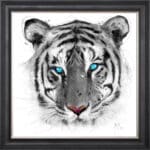 White Tiger - Framed Wall Art by Patrice Murciano