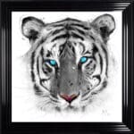 White Tiger - Framed Wall Art by Patrice Murciano