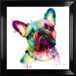 Frenchie Bulldog - Framed Wall Art by Patrice Murciano