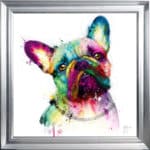 Frenchie Bulldog - Framed Wall Art by Patrice Murciano