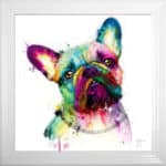 Frenchie Bulldog - Framed Wall Art by Patrice Murciano