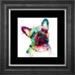 Frenchie Bulldog - Framed Wall Art by Patrice Murciano