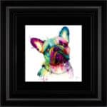 Frenchie Bulldog - Framed Wall Art by Patrice Murciano