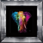 African Elephant II - Framed Wall Art by Patrice Murciano