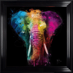 African Elephant II - Framed Wall Art by Patrice Murciano