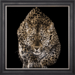 Cheetah Wall Art