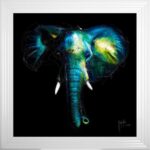 Wild Light Framed Picture by Patrice Murciano