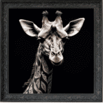 Tattooed Giraffe - Framed Animal Wall Art