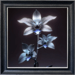 Metal Orchids - Framed Wall Art
