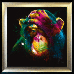 Darwin Monkey Framed Picture by Patrice Murciano