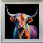 Highland Cow - Colour Pop Wall Art