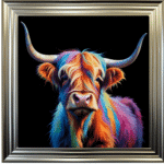 Highland Cow - Colour Pop Wall Art