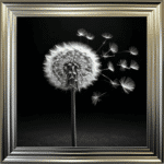 Dandelion Black background right - Framed wall art - Image 2