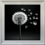 Dandelion Black background right - Framed wall art - Image 3