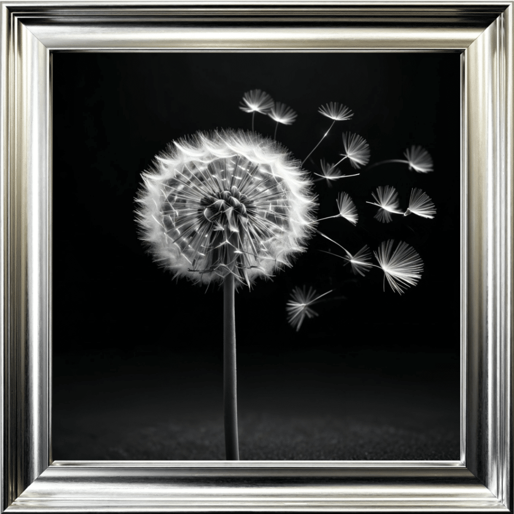 Dandelion Black background right - Framed wall art