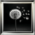 Dandelion Black background right - Framed wall art
