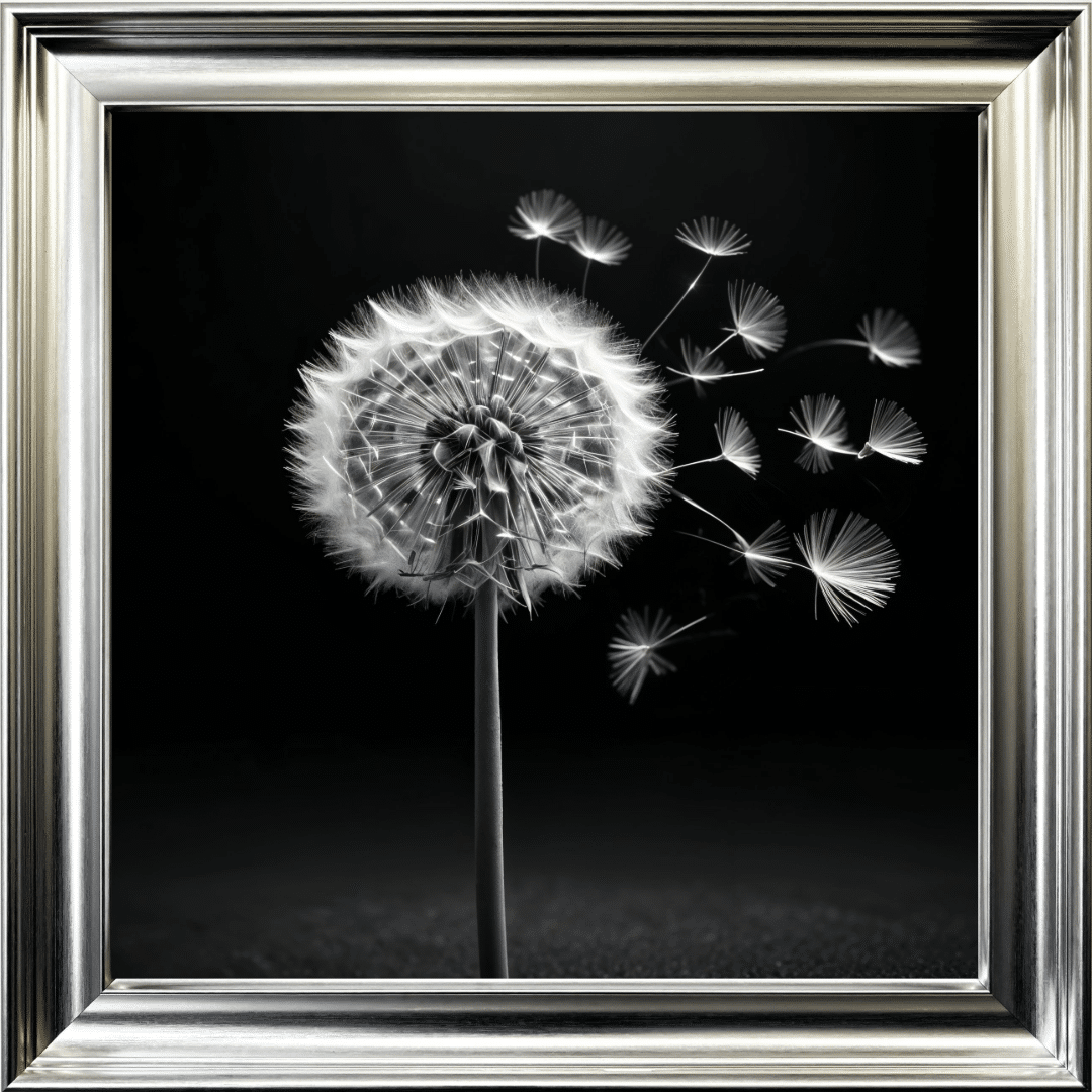 Untitled (17) Dandelion Black background right - Framed wall art