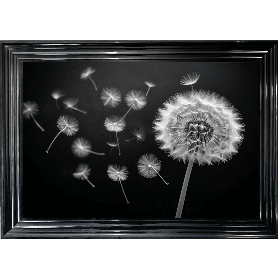 Untitled (19) Dandelion and Seeds blowing left - Framed wall art