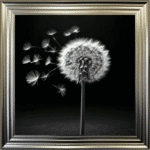 Dandelion Black background left - Framed wall art