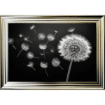 Dandelion and Seeds blowing left - Framed wall art