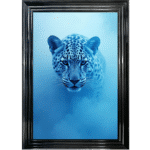 Leopard in the Blue mist - Framed Animal Wall Art