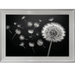 Dandelion and Seeds blowing left - Framed wall art