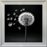 Dandelion Black background left - Framed wall art