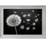 Dandelion and Seeds blowing right - Framed wall art