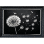 Dandelion and Seeds blowing right - Framed wall art
