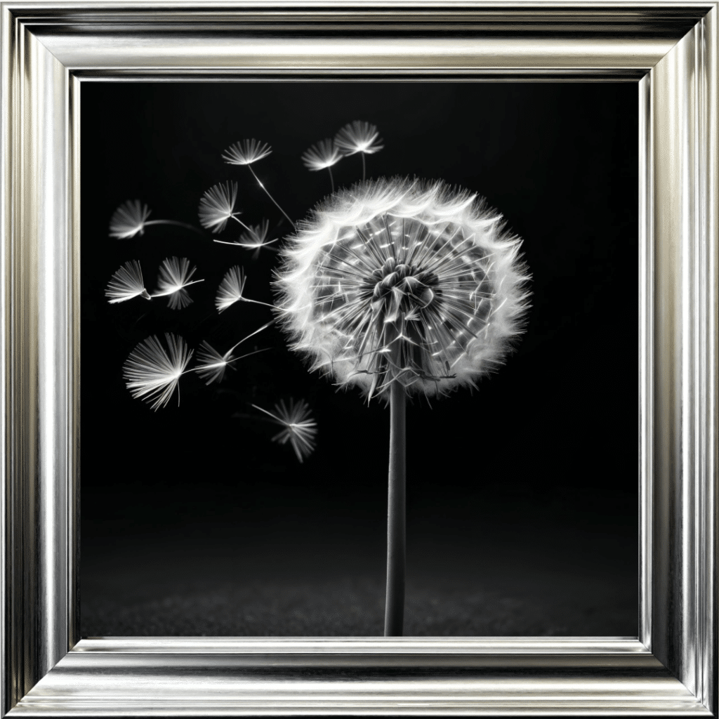 Dandelion Black background left - Framed wall art