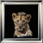 Royal Lioness Cub - Framed Picture