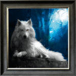 White Wolf Framed Picture by Patrice Murciano