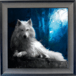 White Wolf Framed Picture by Patrice Murciano