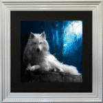 White Wolf Framed Picture by Patrice Murciano