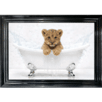 Lion Cub in the Bath - Framed Picture